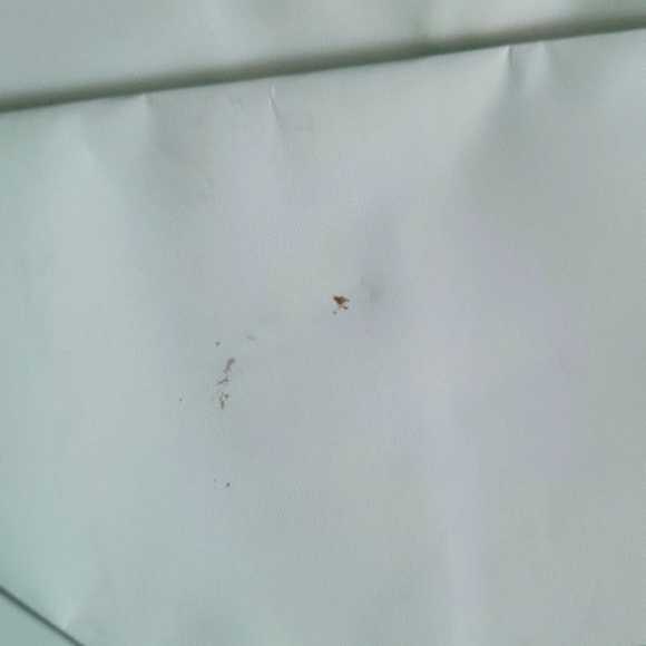 Tiffany & Co Home Accessory Large Gift Box w Shopping Bag - Picture 4 of 13